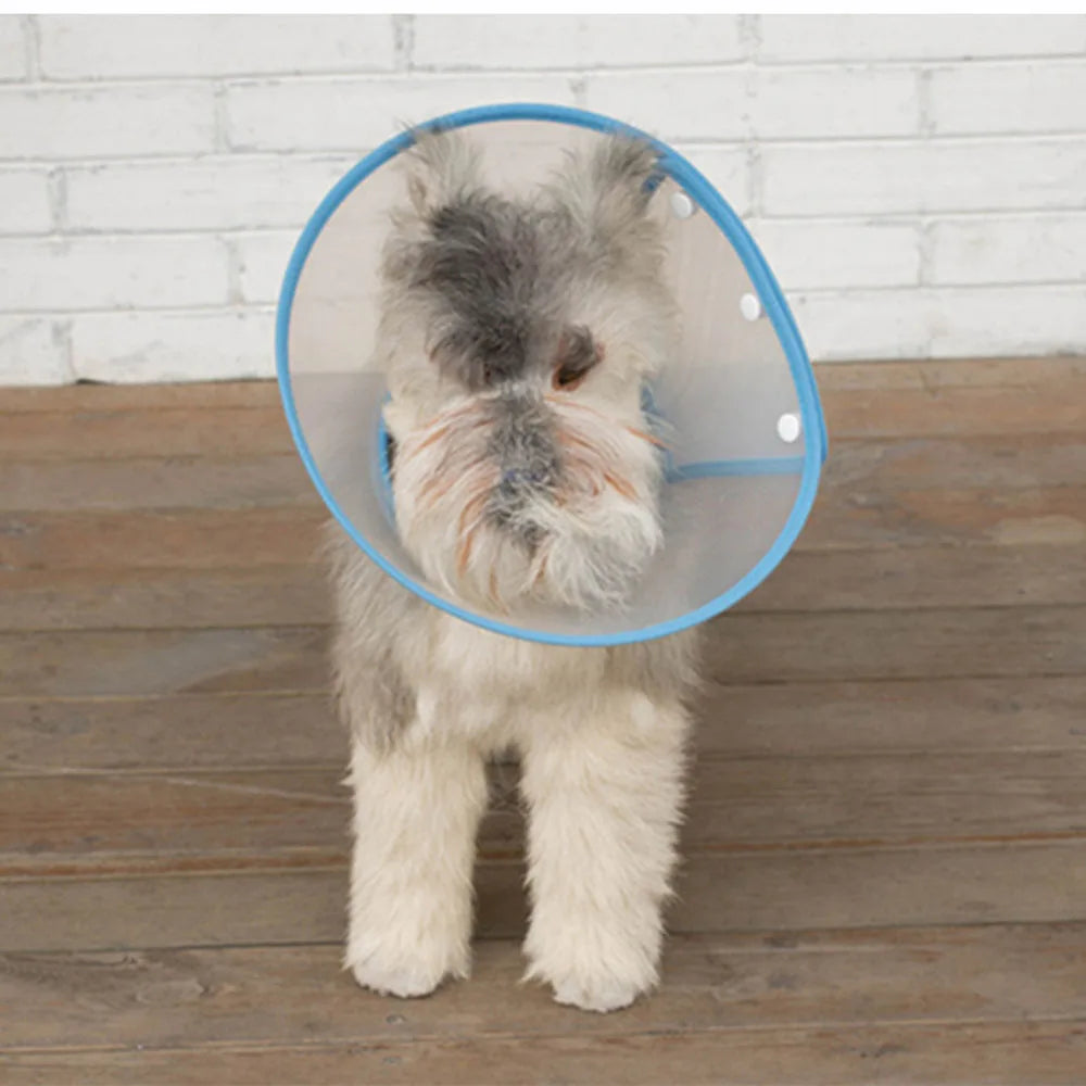 Pet recovery E-Collar adjustable soft edge, anti-bite, anti-lick