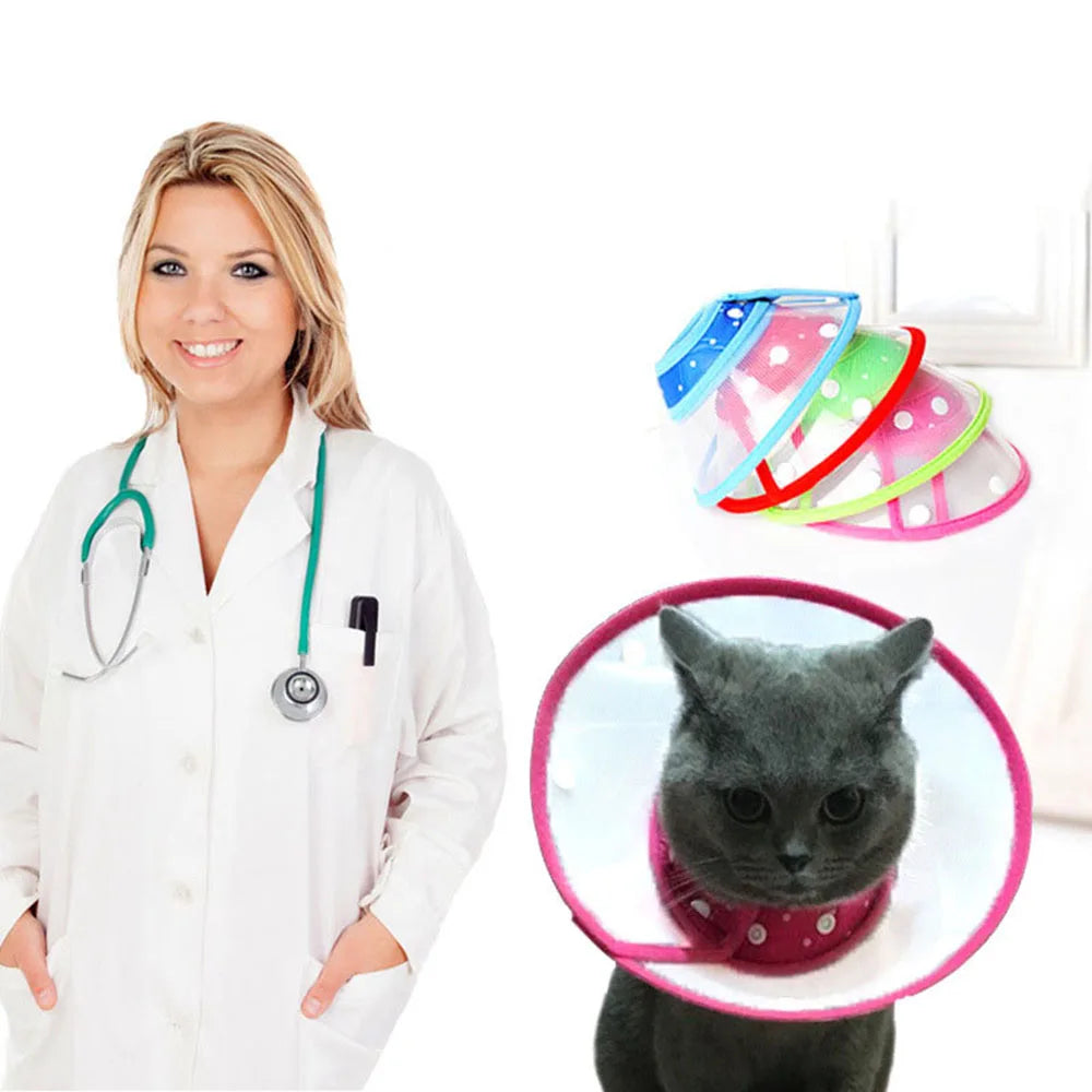 Pet recovery E-Collar adjustable soft edge, anti-bite, anti-lick
