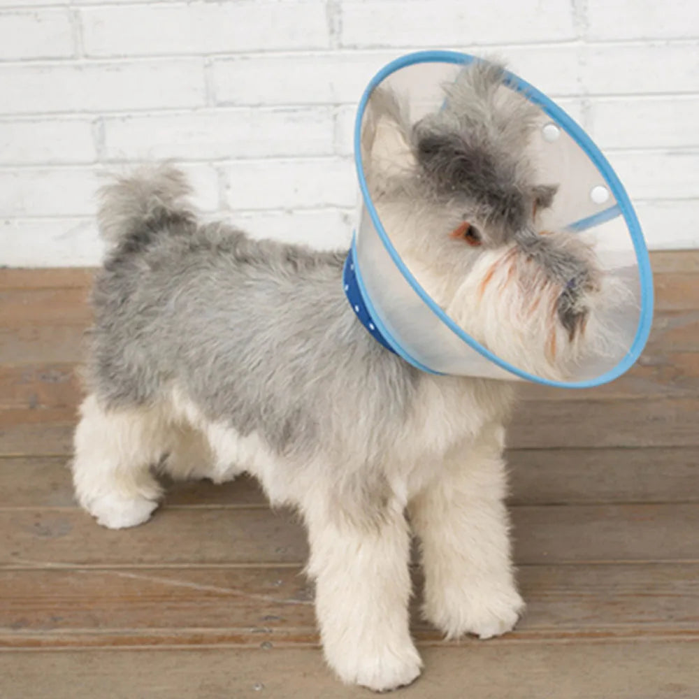 Pet recovery E-Collar adjustable soft edge, anti-bite, anti-lick