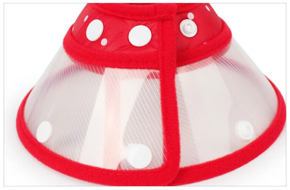 Pet recovery E-Collar adjustable soft edge, anti-bite, anti-lick
