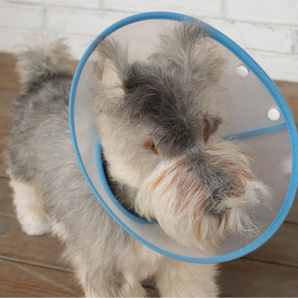 Pet recovery E-Collar adjustable soft edge, anti-bite, anti-lick