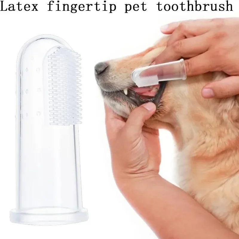 1/30pc tooth brush for pets