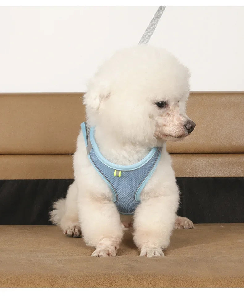 Dog harness with leash