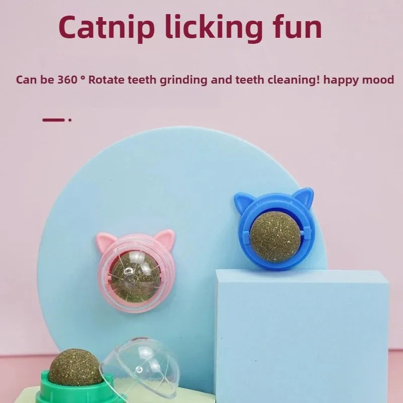 Natural catnip wall stick-on ball