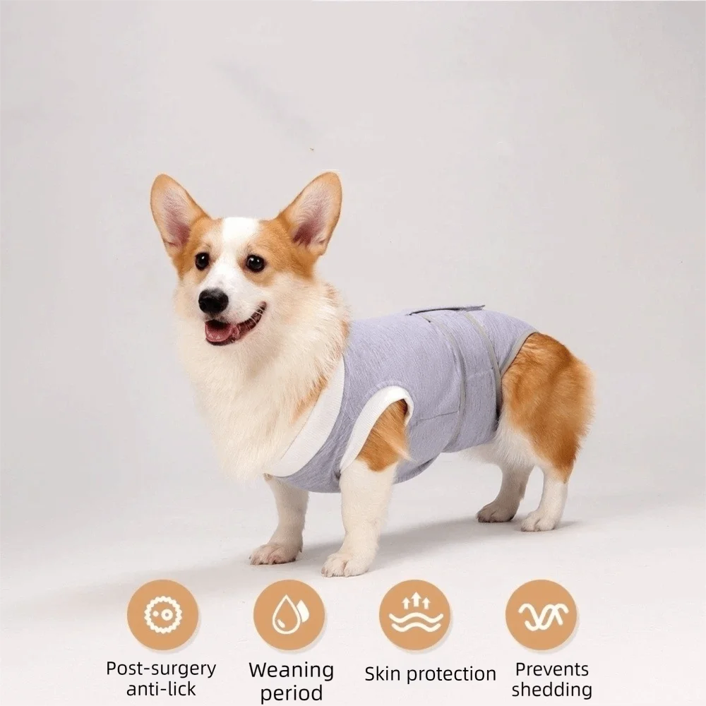 Adjustable dog sterilization suit
