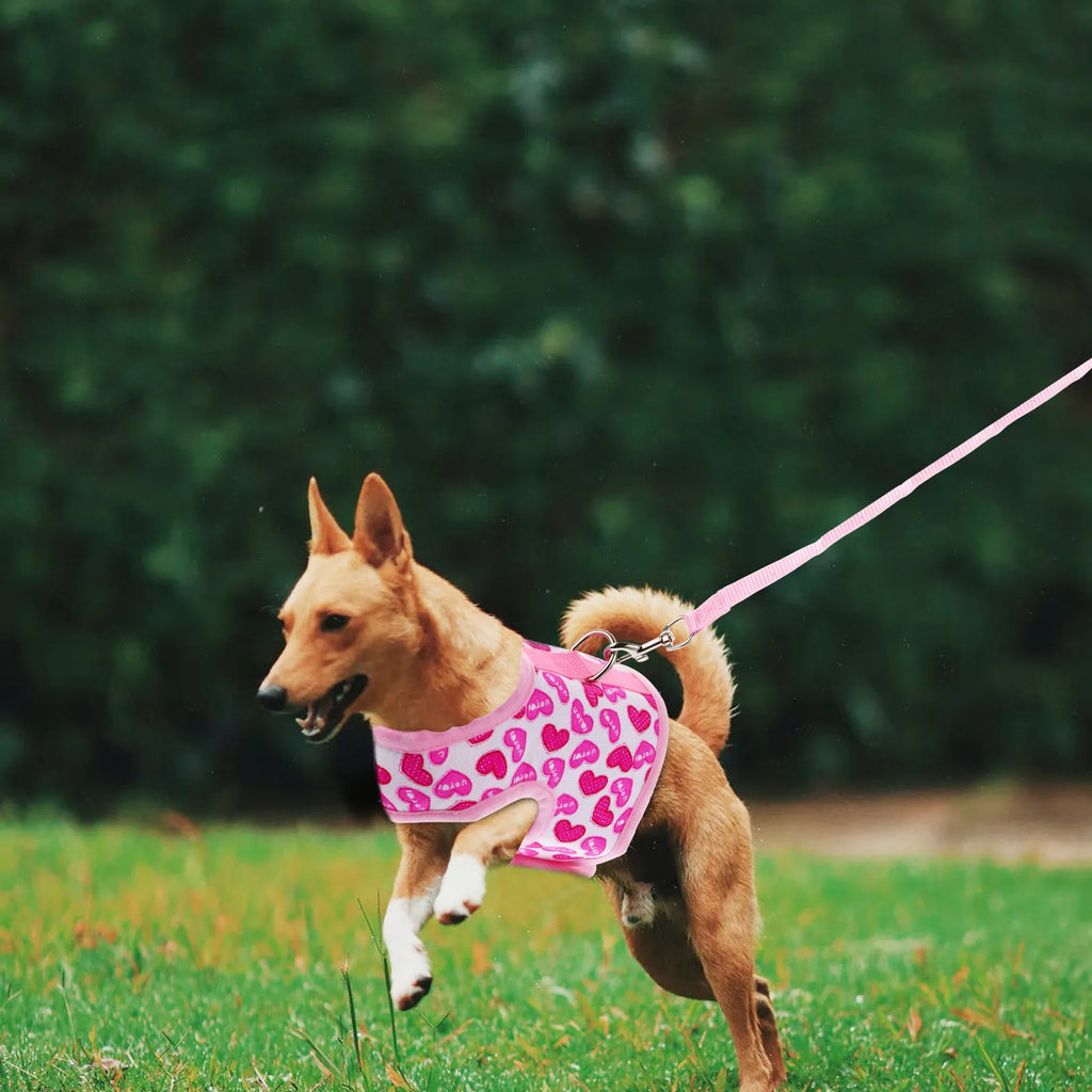 Pet Harness, Breathable
