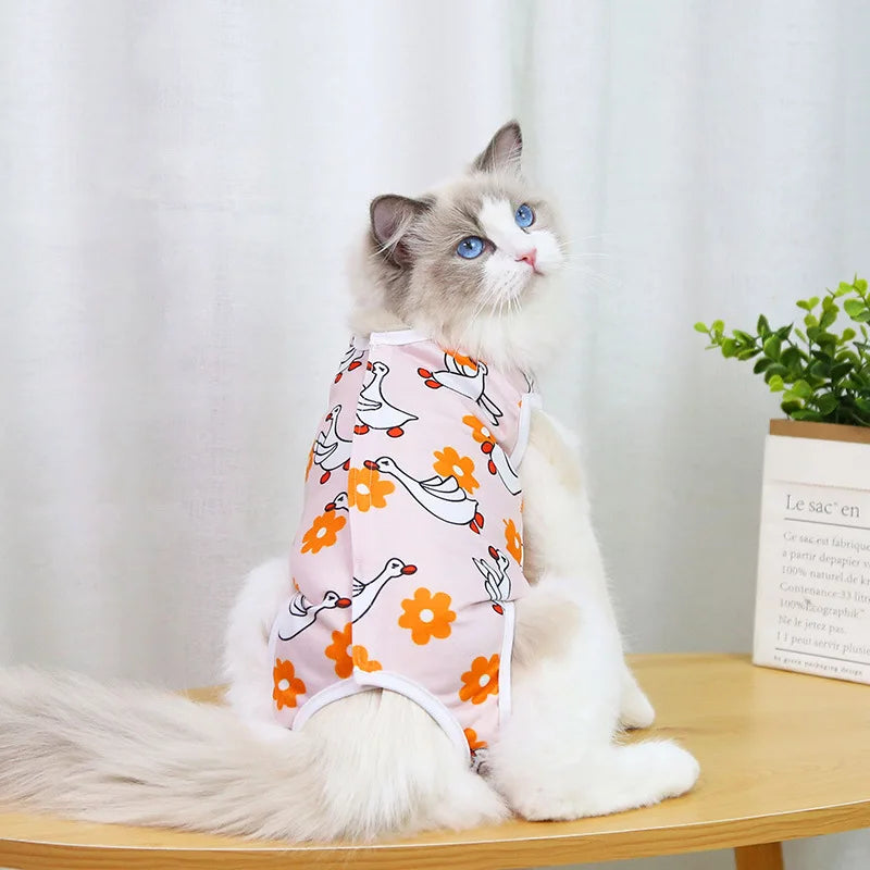 Cat anti-licking surgery recovery clothing