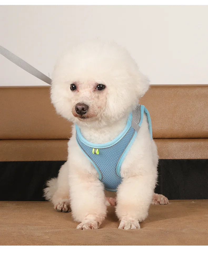 Dog harness with leash