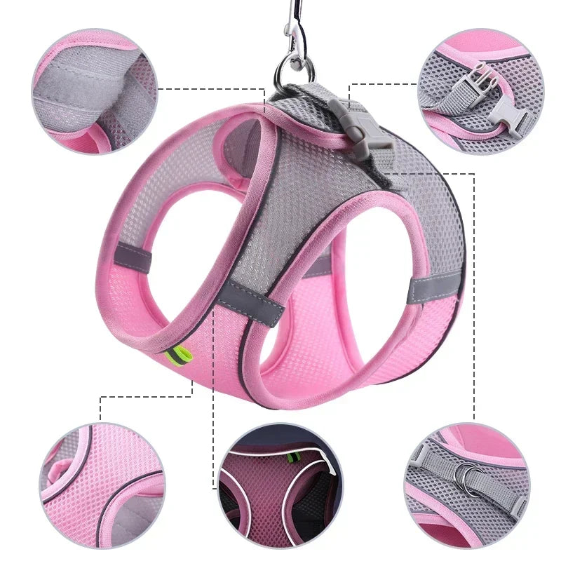 Dog harness with leash