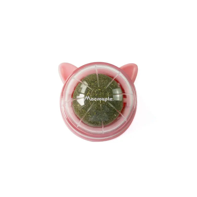 Natural catnip wall stick-on ball