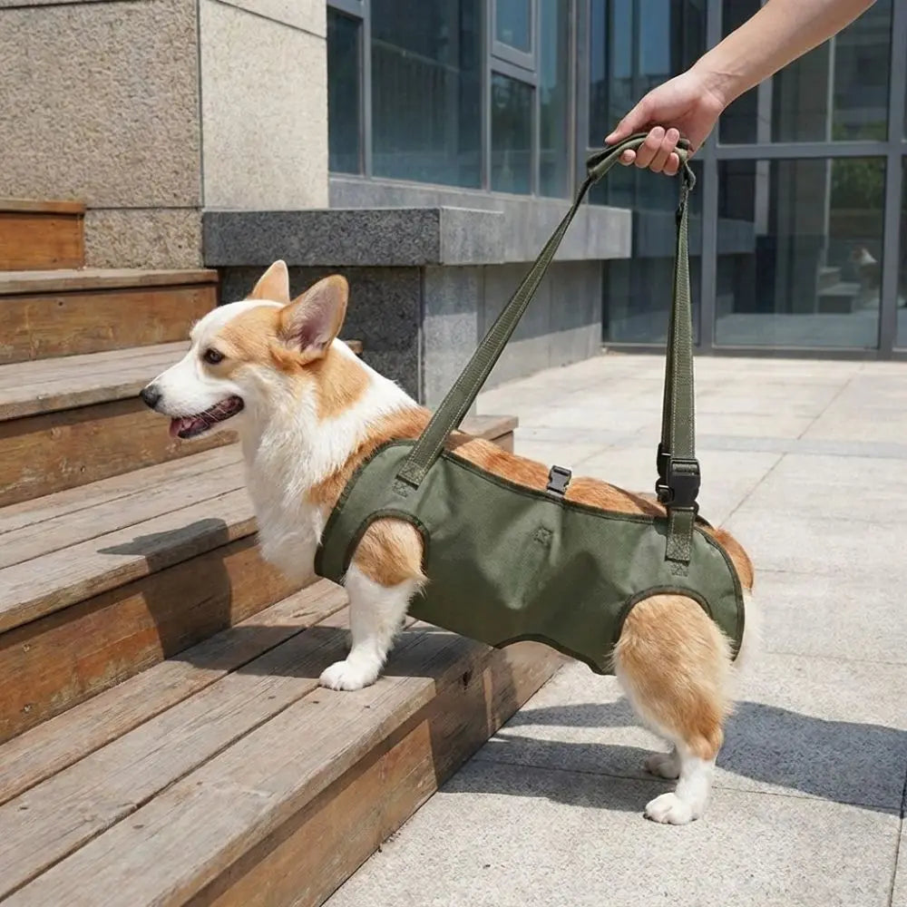 Adjustable pet auxiliary vest