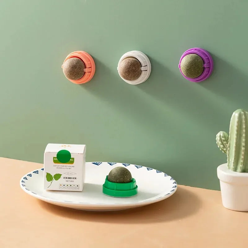 Natural catnip wall stick-on ball
