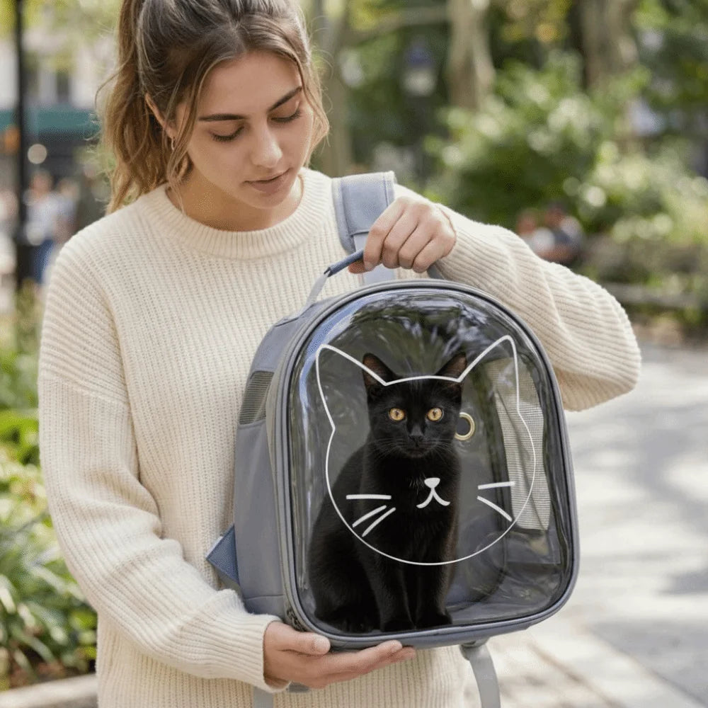 Transparent pet carrier backpack