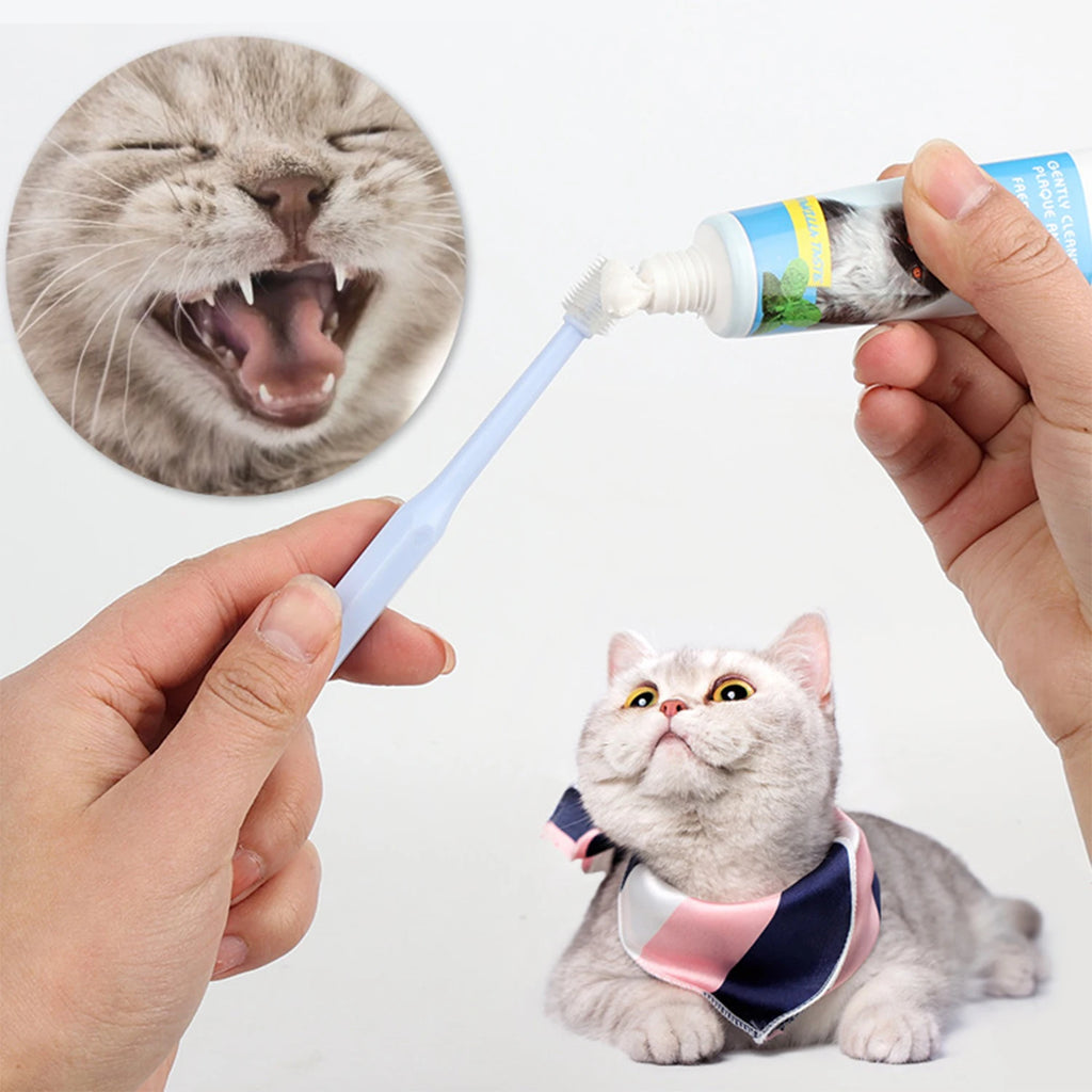 360 Degrees pet toothbrush