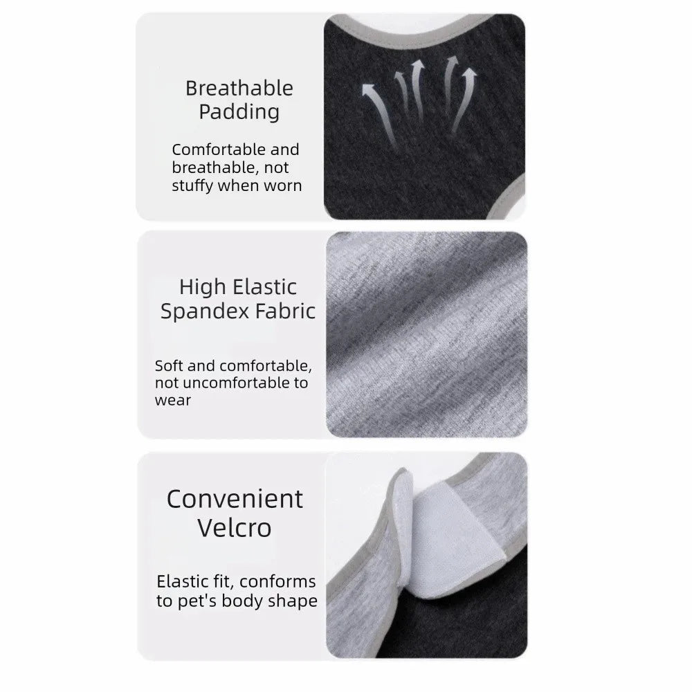 Adjustable dog sterilization suit
