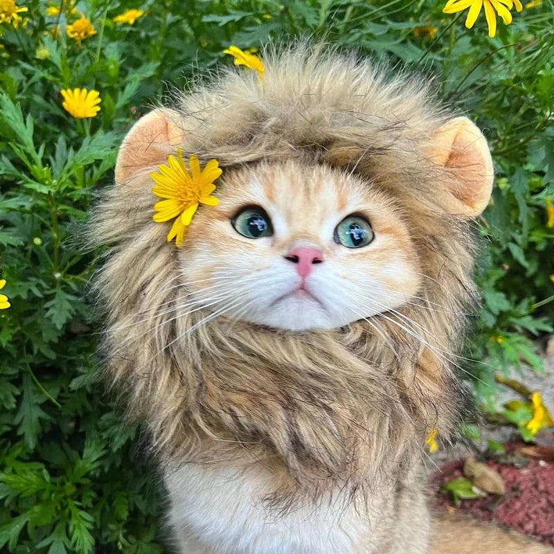 Cute lion mane cat wig