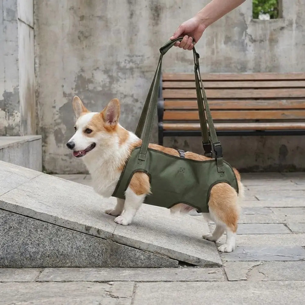 Adjustable pet auxiliary vest
