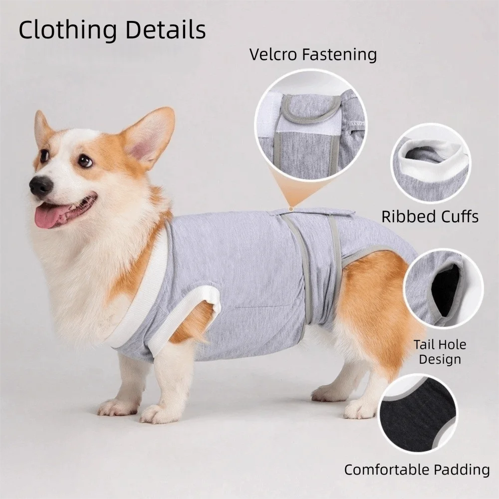 Adjustable dog sterilization suit