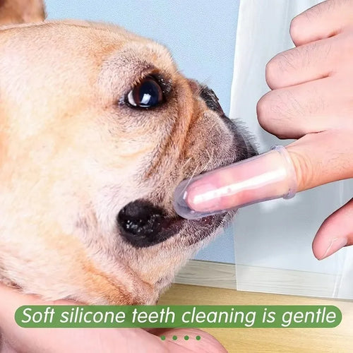 1/30pc tooth brush for pets