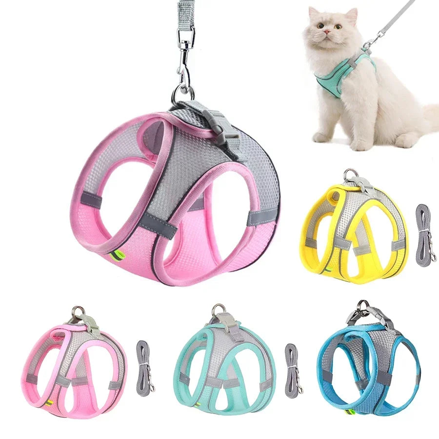 Dog harness with leash