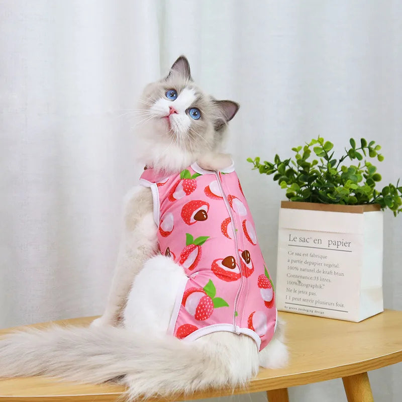 Cat anti-licking surgery recovery clothing