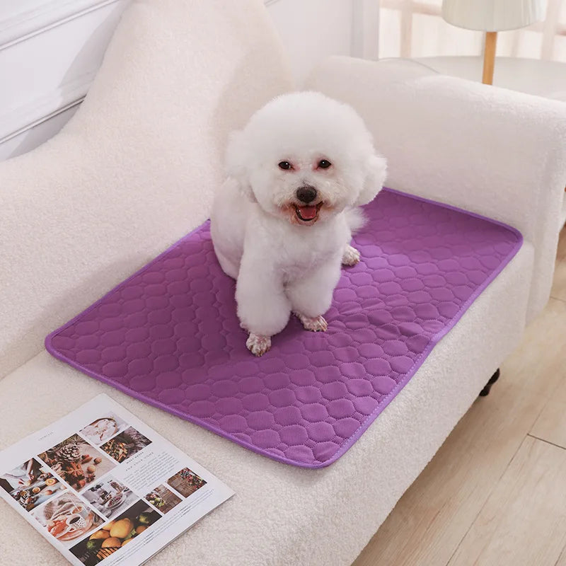 Dog training urine pads, washable, reusable, anti slip