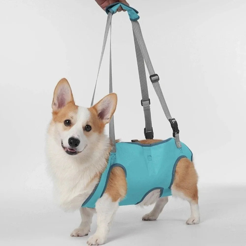 Adjustable pet auxiliary vest