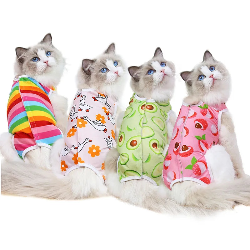 Cat anti-licking surgery recovery clothing