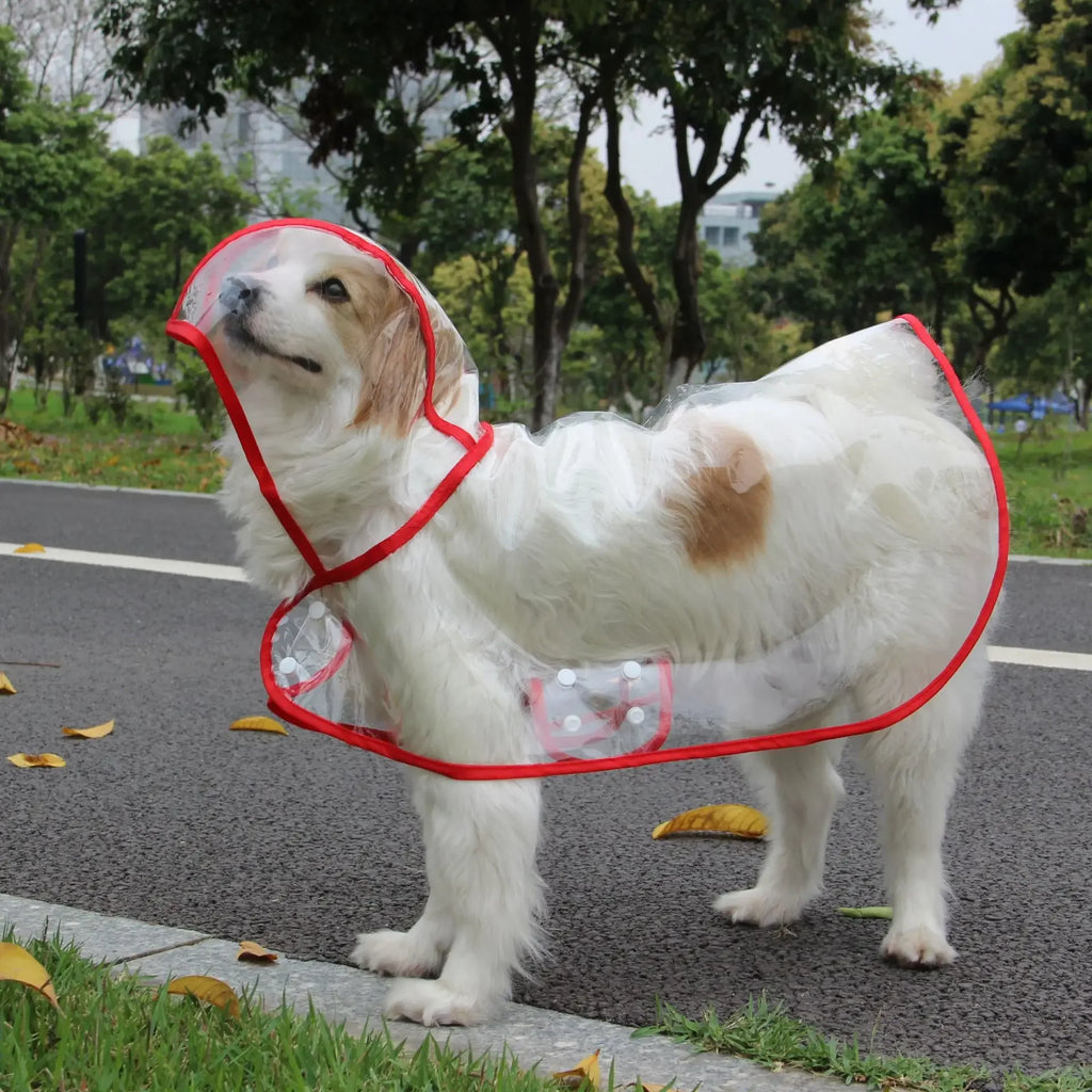 Pet Raincoat, waterproof and transparent