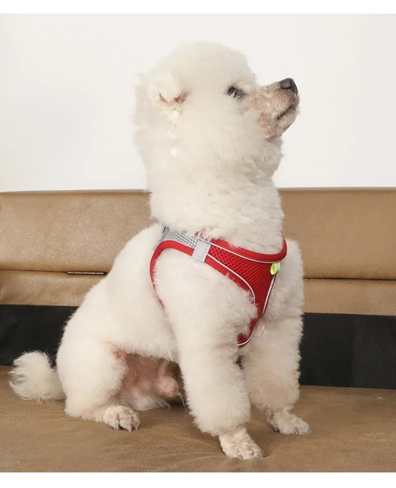 Dog harness with leash