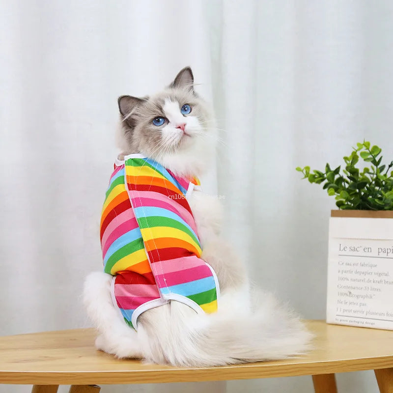 Cat anti-licking surgery recovery clothing