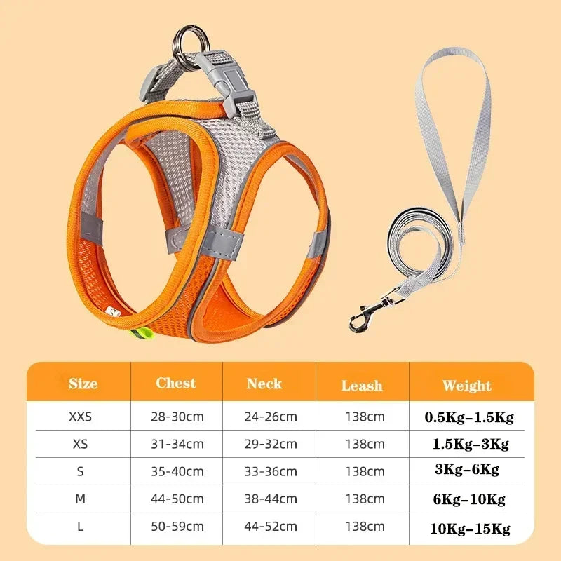 Dog harness with leash