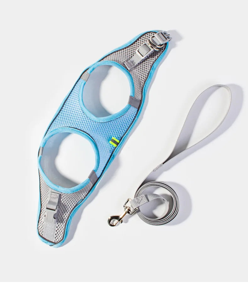 Dog harness with leash