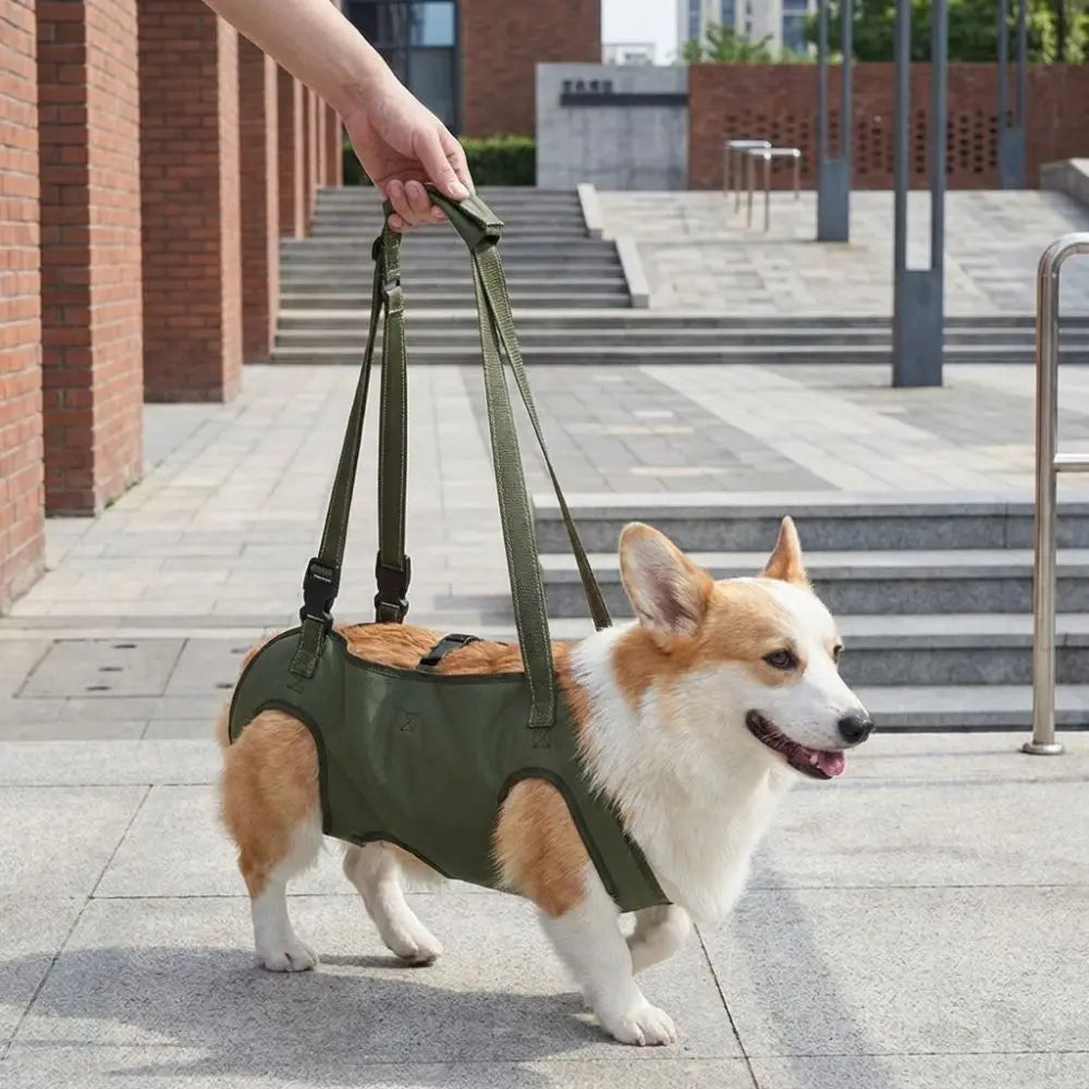 Adjustable pet auxiliary vest