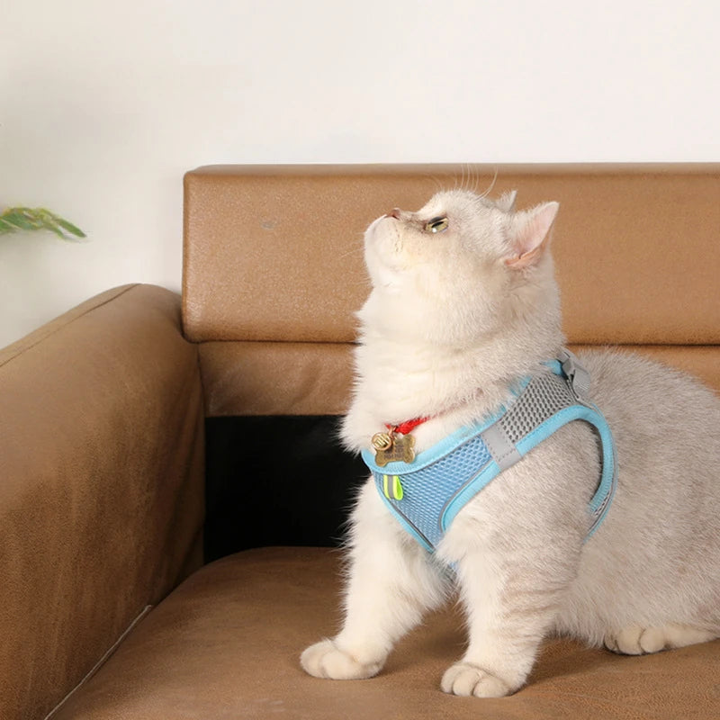 Dog harness with leash