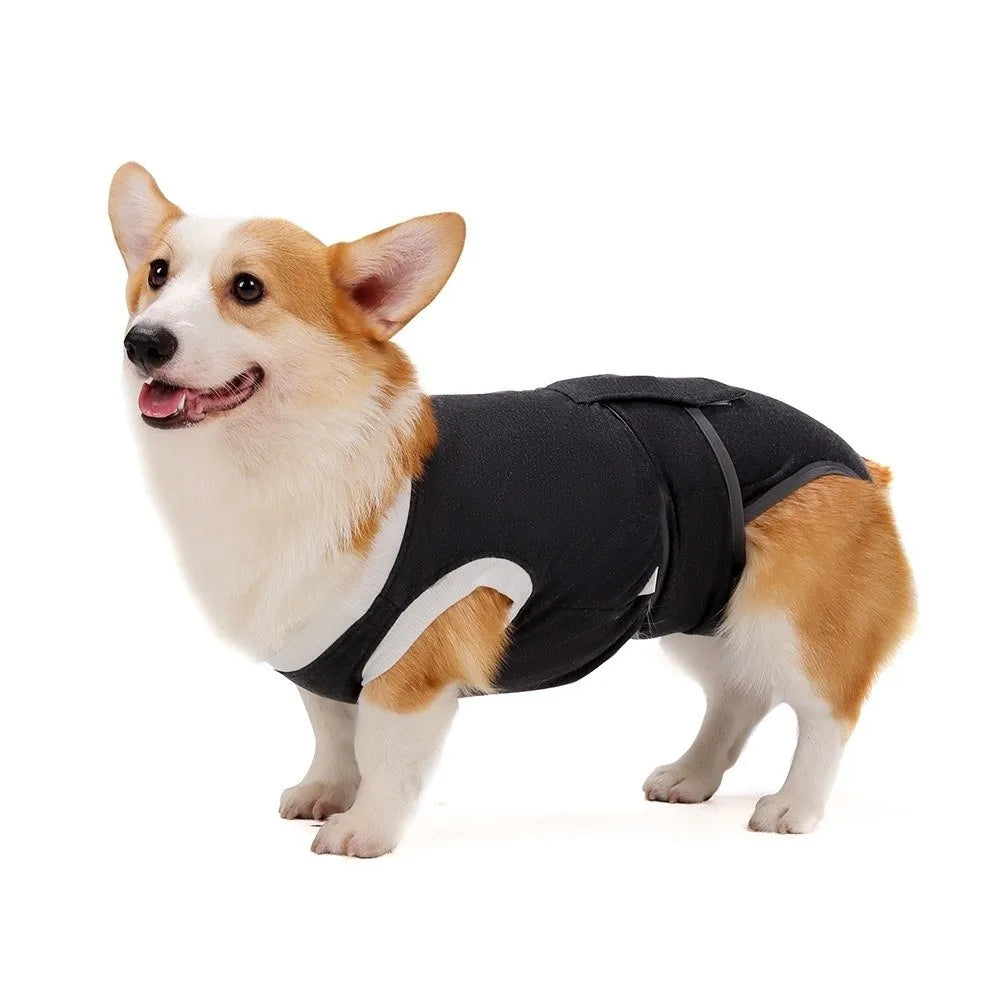 Adjustable dog sterilization suit