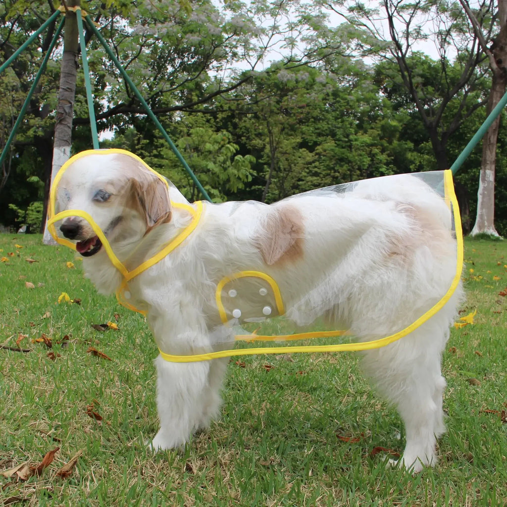 Pet Raincoat, waterproof and transparent