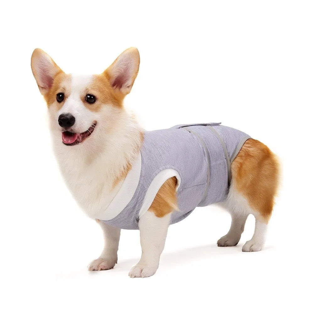 Adjustable dog sterilization suit