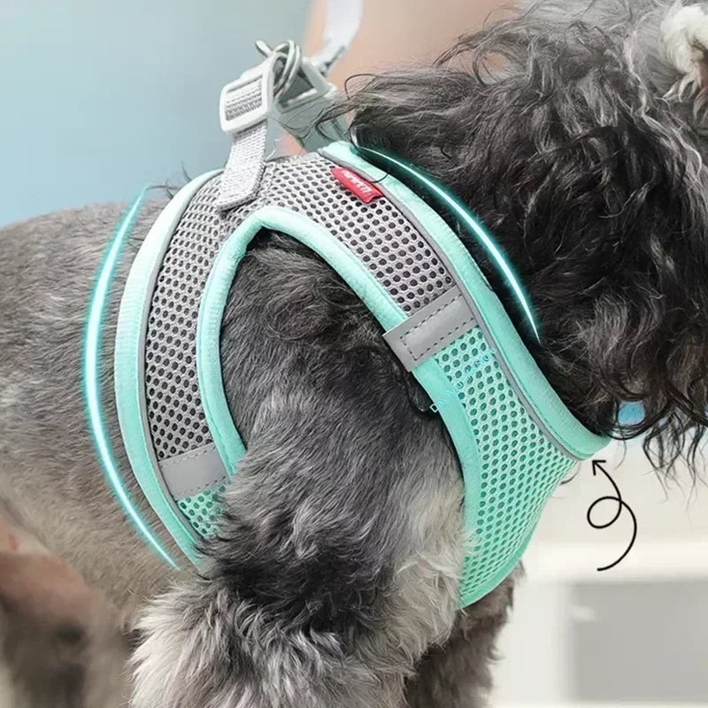 Dog harness with leash