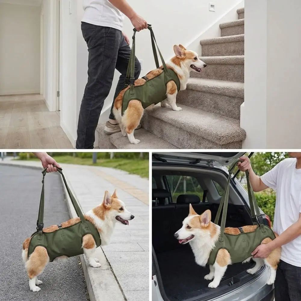 Adjustable pet auxiliary vest
