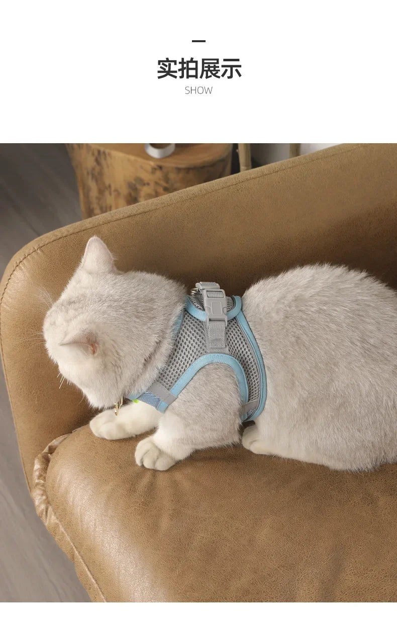 Dog harness with leash