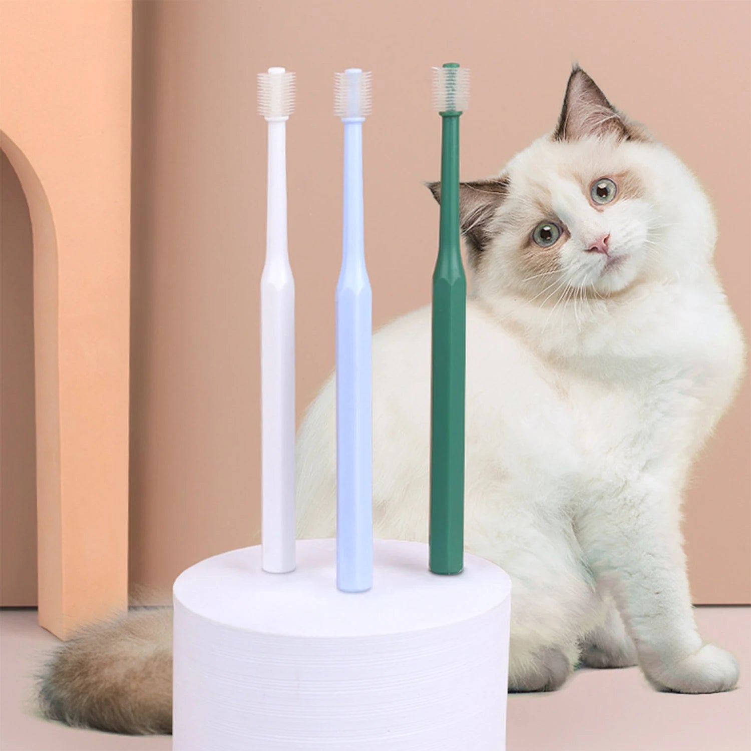 360 Degrees pet toothbrush