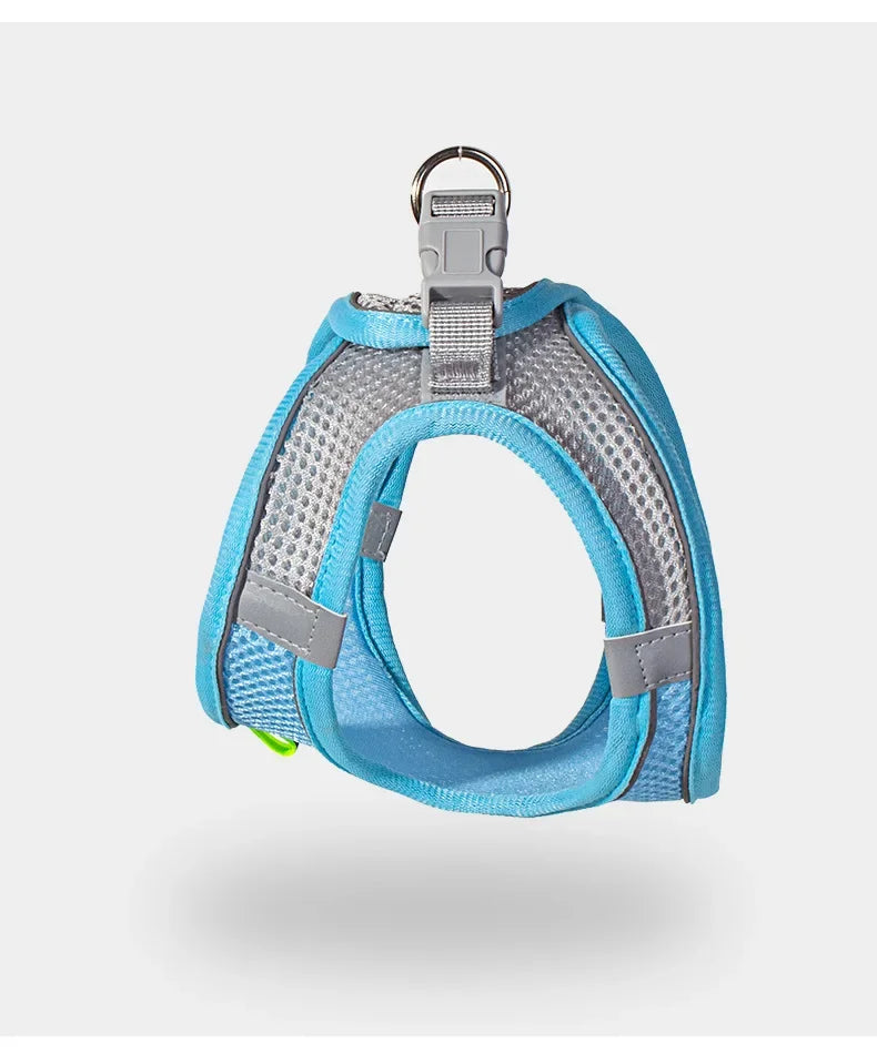Dog harness with leash