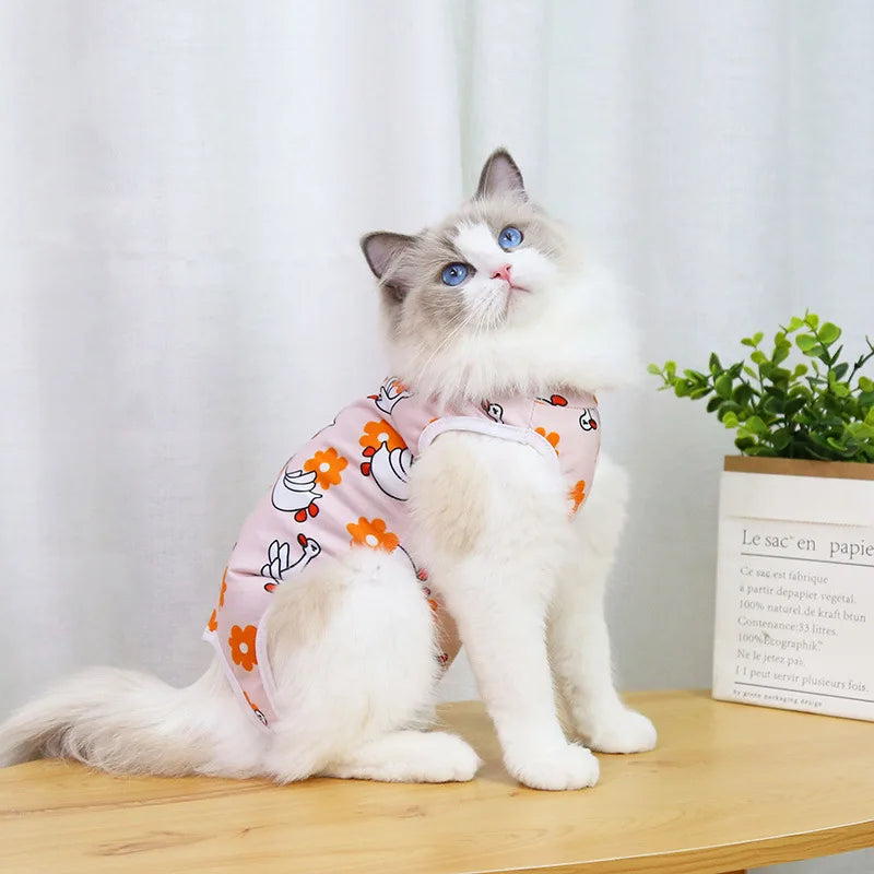 Cat anti-licking surgery recovery clothing