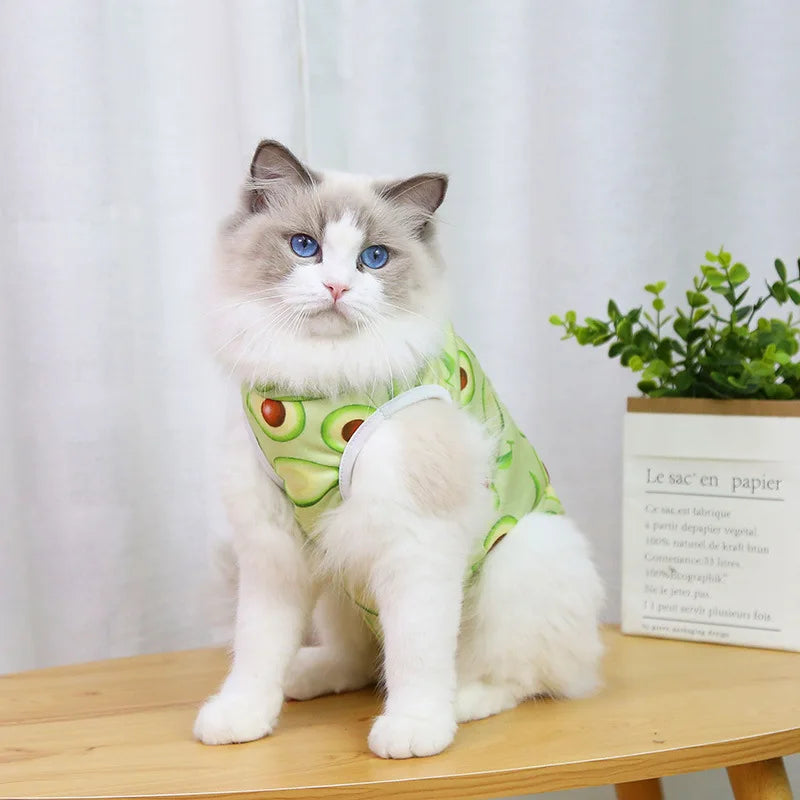 Cat anti-licking surgery recovery clothing