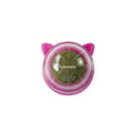 Natural catnip wall stick-on ball