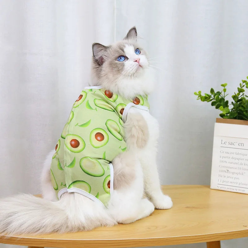 Cat anti-licking surgery recovery clothing
