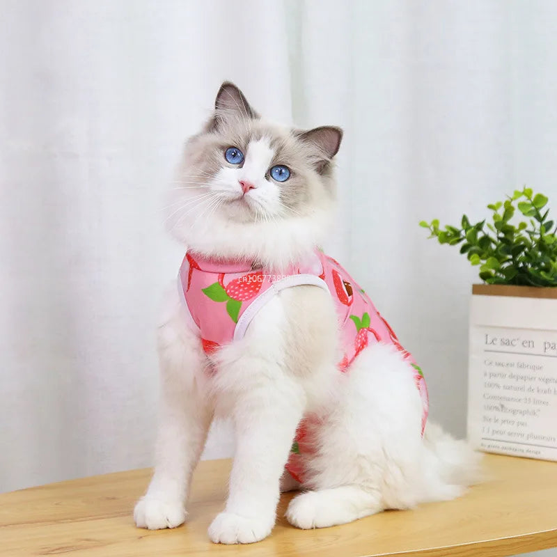 Cat anti-licking surgery recovery clothing