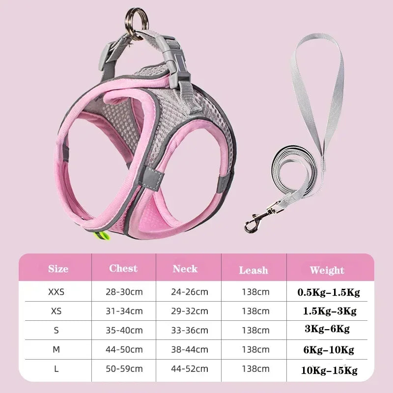 Dog harness with leash
