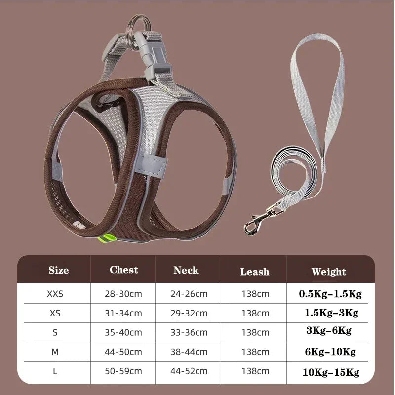 Dog harness with leash